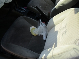 2002 HONDA CIVIC DX GREEN 2DR 1.7L AT A16504